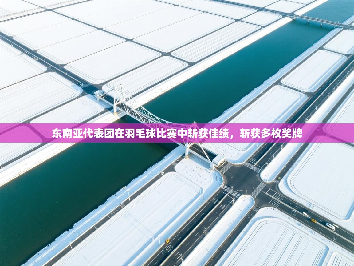 开云体育入口客服-东南亚代表团在羽毛球比赛中斩获佳绩,斩获多枚奖牌 第1张