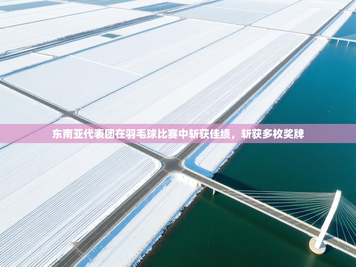 开云体育入口客服-东南亚代表团在羽毛球比赛中斩获佳绩,斩获多枚奖牌 第2张