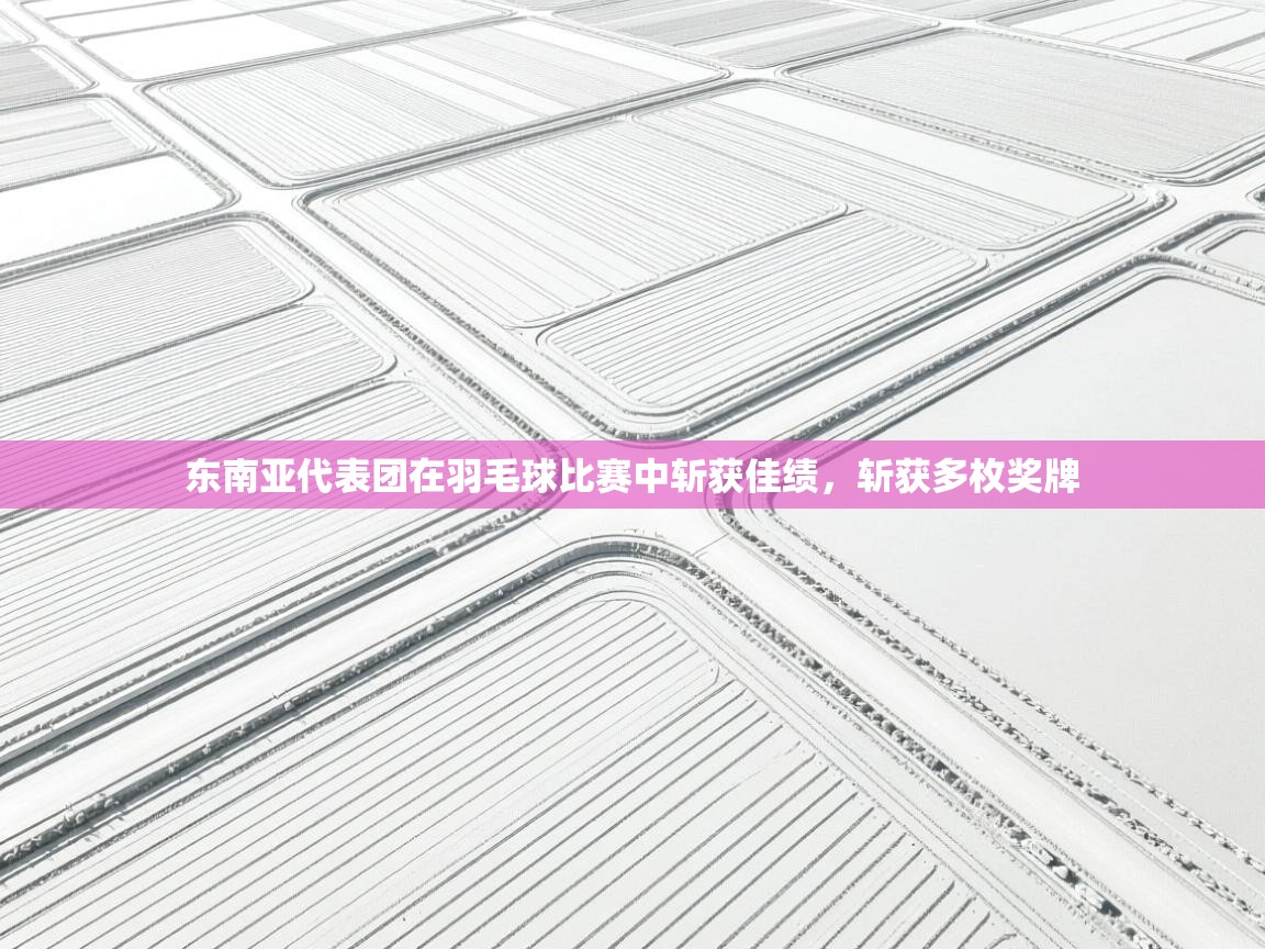 开云体育入口客服-东南亚代表团在羽毛球比赛中斩获佳绩,斩获多枚奖牌 第3张