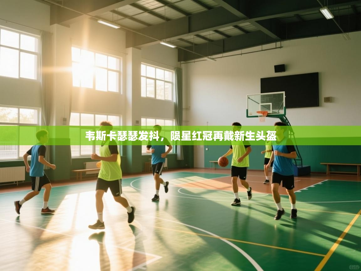 开云体育忘记密码找回-韦斯卡瑟瑟发抖，陨星红冠再戴新生头盔  第3张