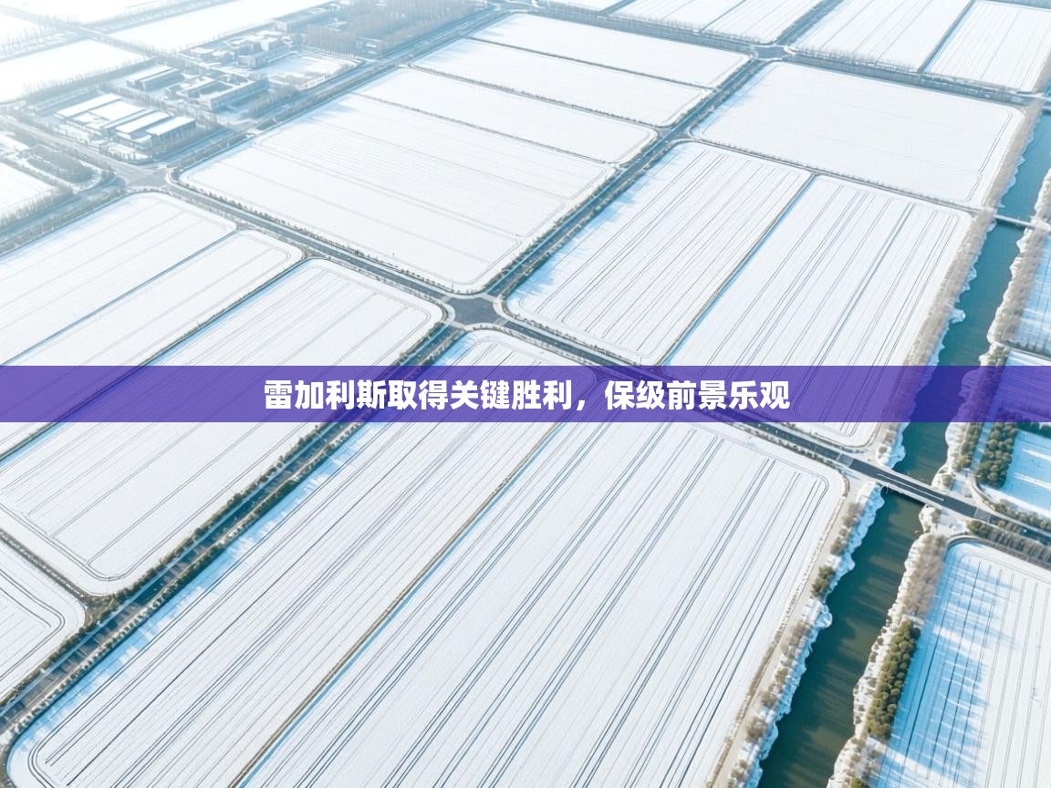 开云官网-雷加利斯取得关键胜利，保级前景乐观  第2张