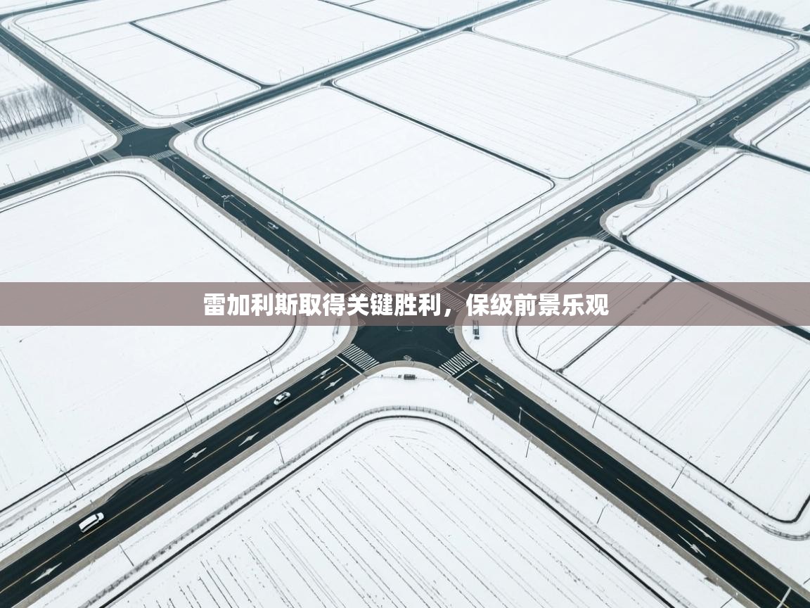 开云官网-雷加利斯取得关键胜利，保级前景乐观  第3张