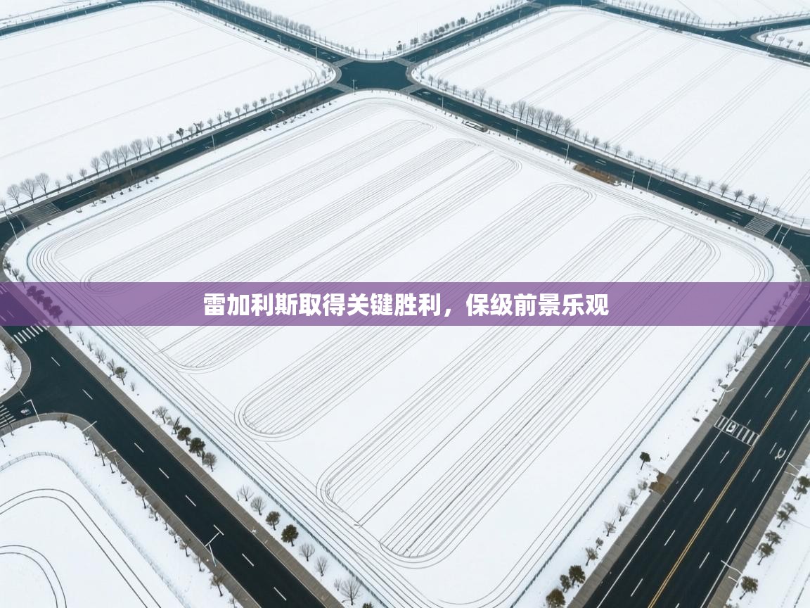 开云官网-雷加利斯取得关键胜利，保级前景乐观  第4张